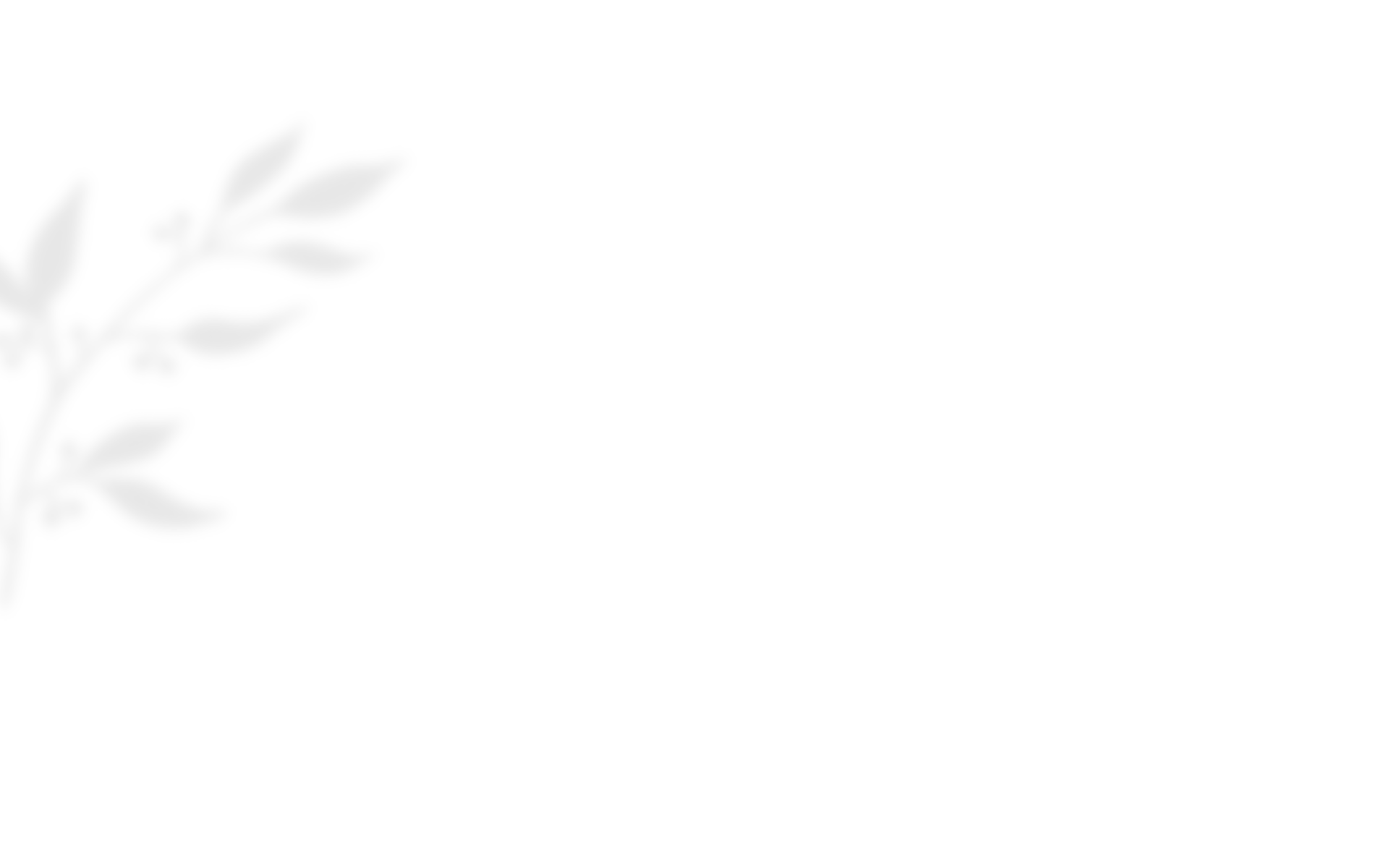 https://www.ivanmarangiofilms.it/wp-content/uploads/2020/10/shadow_leaves_03.png
