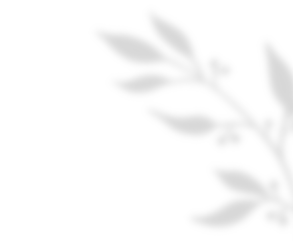 https://www.ivanmarangiofilms.it/wp-content/uploads/2020/11/shadow_leaves_01.png