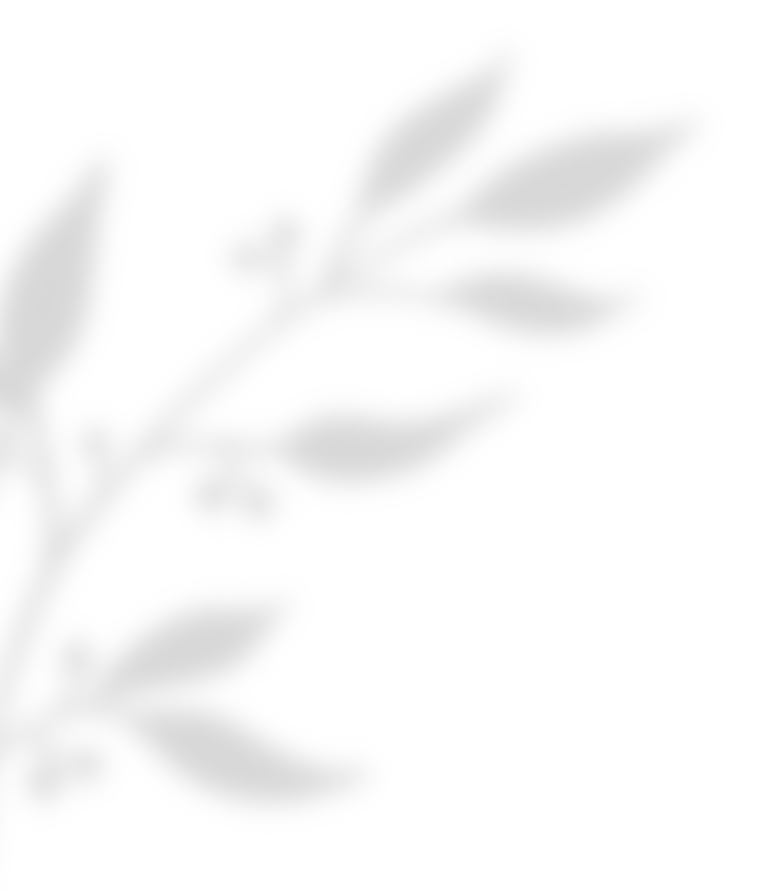 https://www.ivanmarangiofilms.it/wp-content/uploads/2020/11/shadow_leaves_02.png